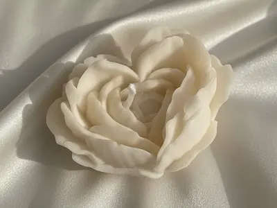 Mis fotos