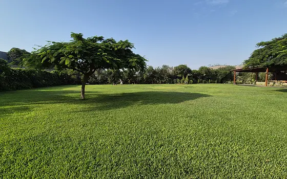 Villa Lúcumo