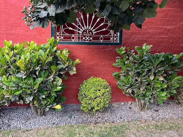 Casa de Eventos Las Gardenias