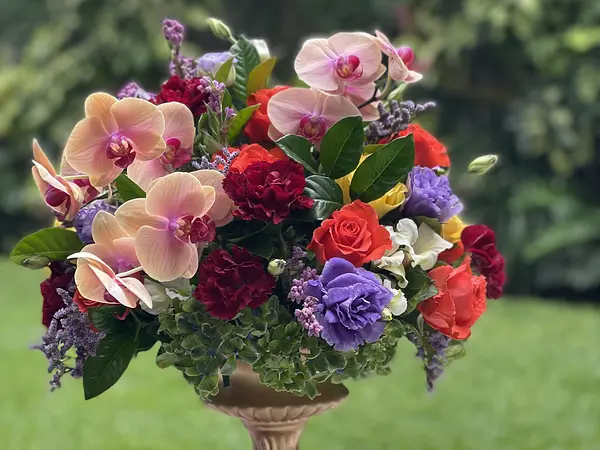 Blume Boutique Floral