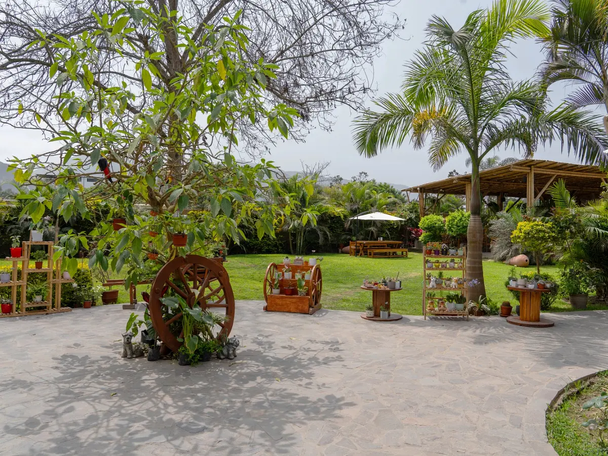 Jora Restaurante