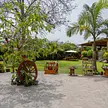 Mis fotos